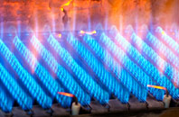 Primrose Green gas fired boilers
